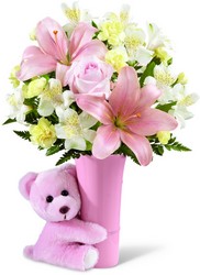 The FTD Baby Girl Big Hug Bouquet from Krupp Florist, your local Belleville flower shop